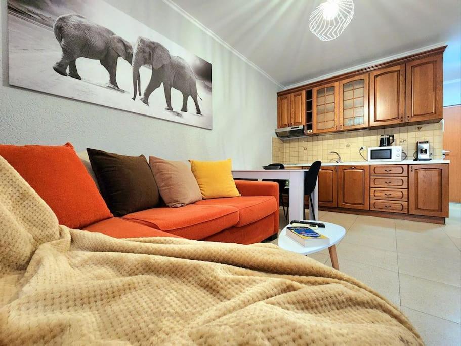Appartamento One Bd Flat Near Center With 24H Self Check In Tirana Esterno foto